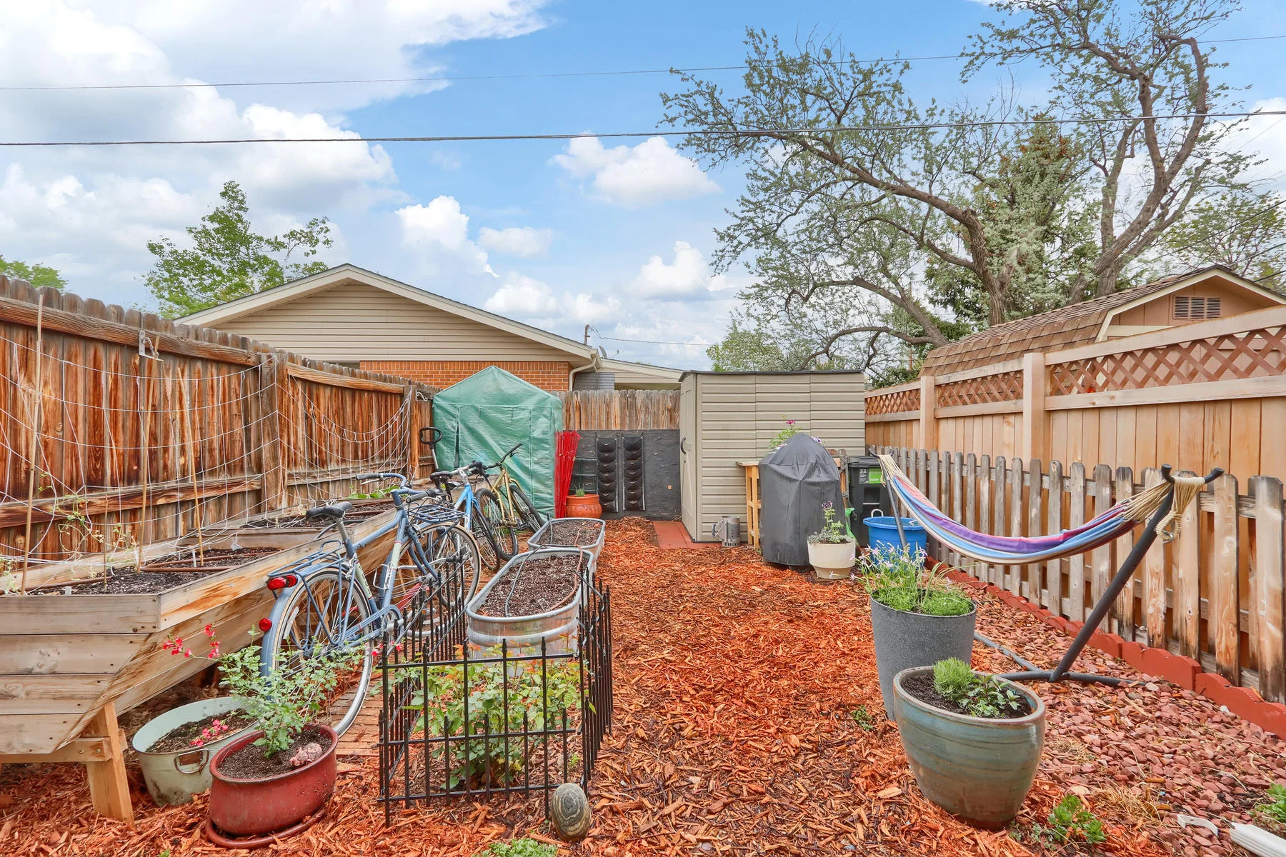 5820 Urban St Arvada CO 80004-018-5-Yard-MLS_Size.jpg