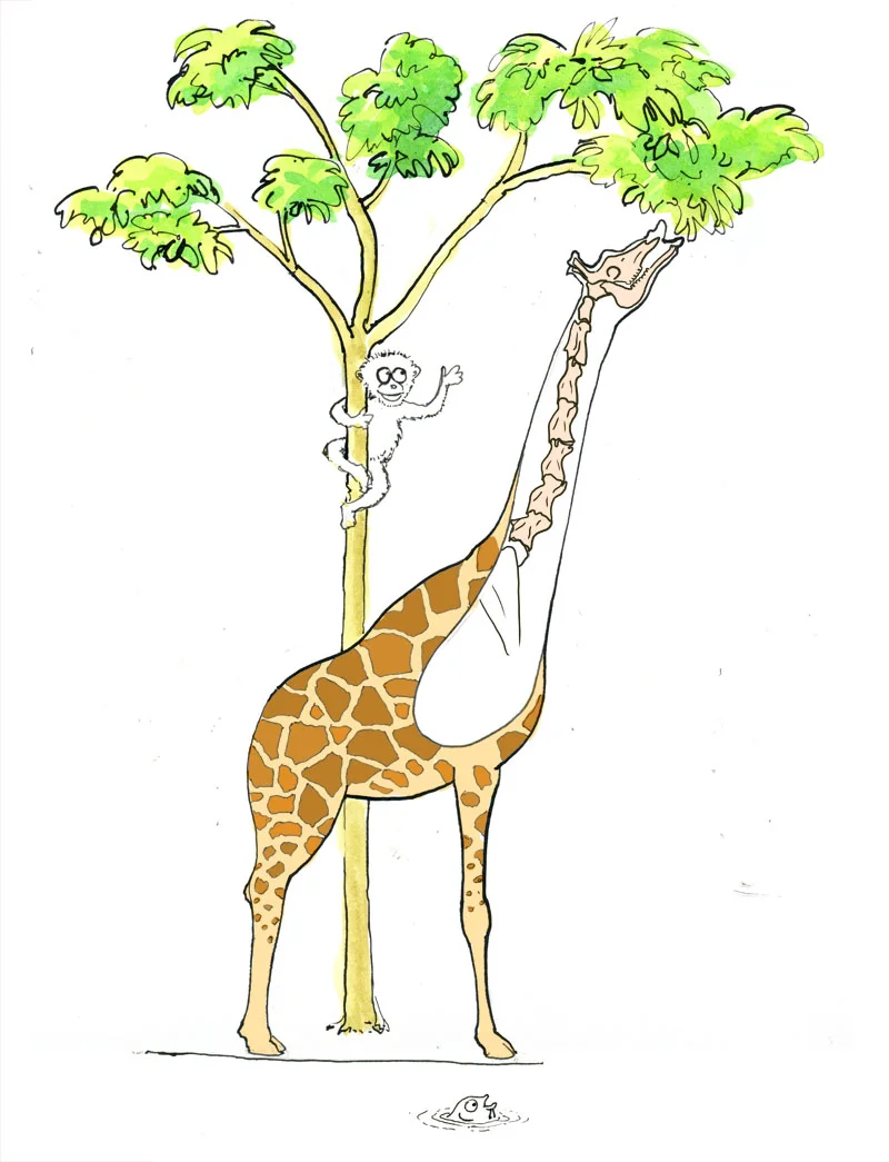 giraffe.jpg