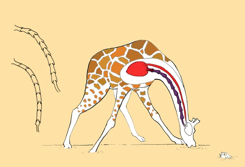 giraffe colour2.jpg