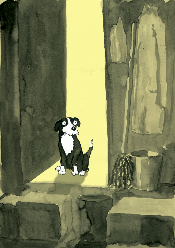 Screen shot 2018-08-14 at 12.05.49 PM.png