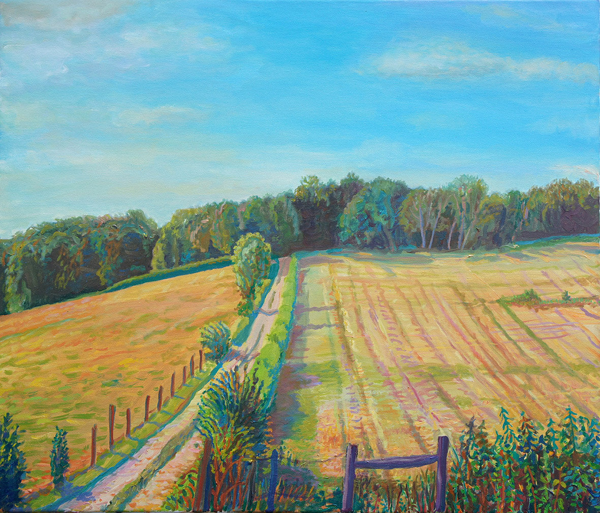 Field. Summer. Morning.