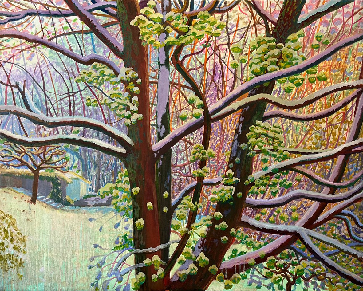 Spring Tree in Snow