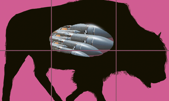 bison nft.gif