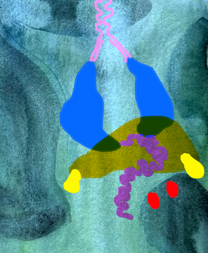 Screen Shot 2022-07-12 at 09.45.35.png