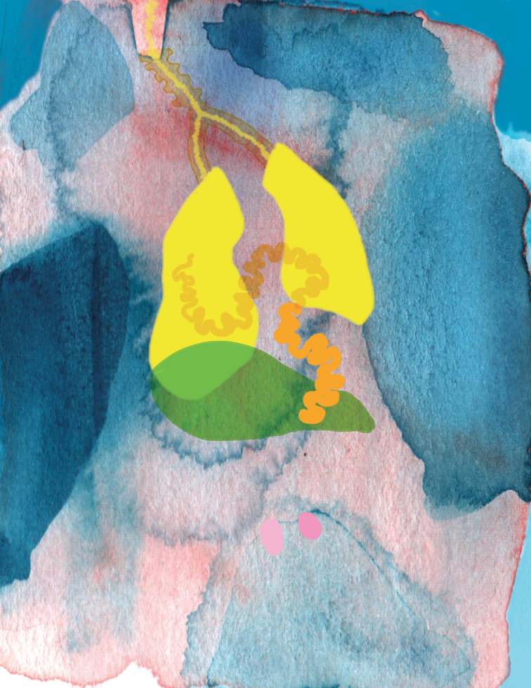 Screen Shot 2022-07-12 at 12.49.13.png