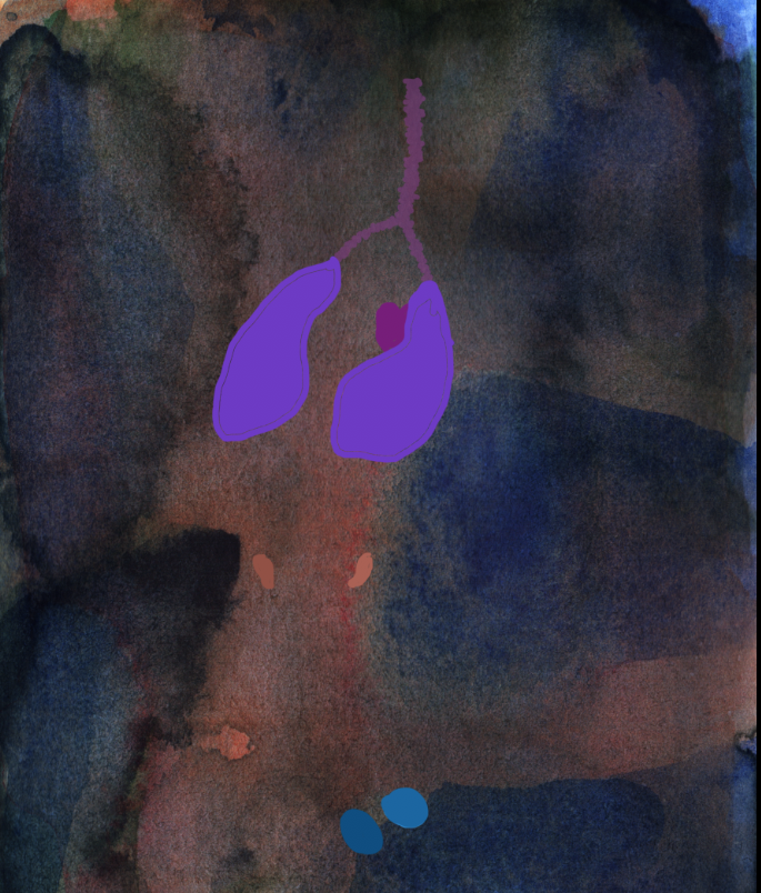 Screen Shot 2022-07-12 at 13.21.56.png