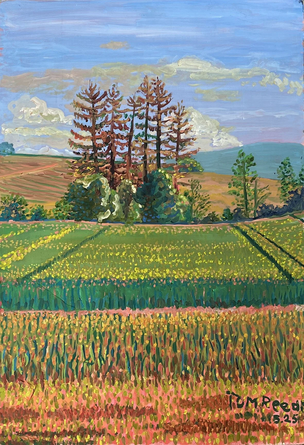 Field and Red Trees