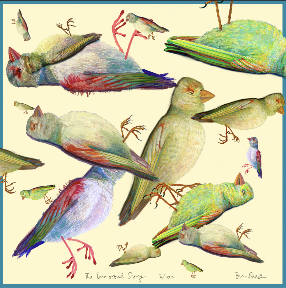 Screenshot 2026-02-05 at 13.31.20.png