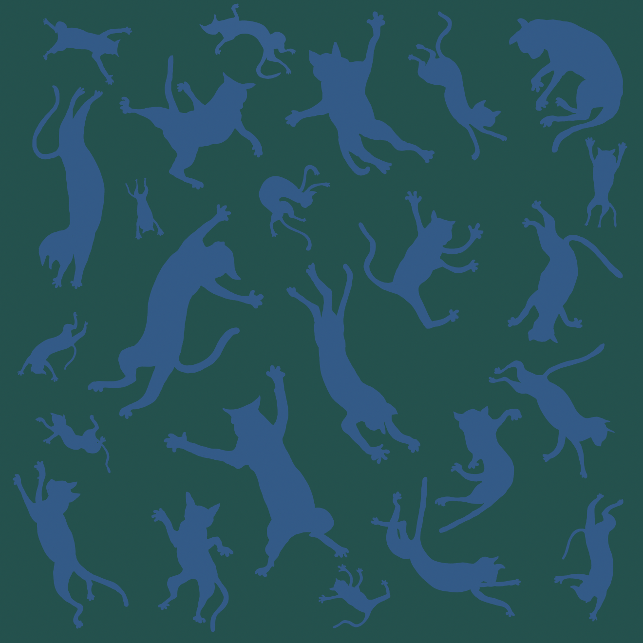 Screenshot 2026-02-05 at 16.11.20.png