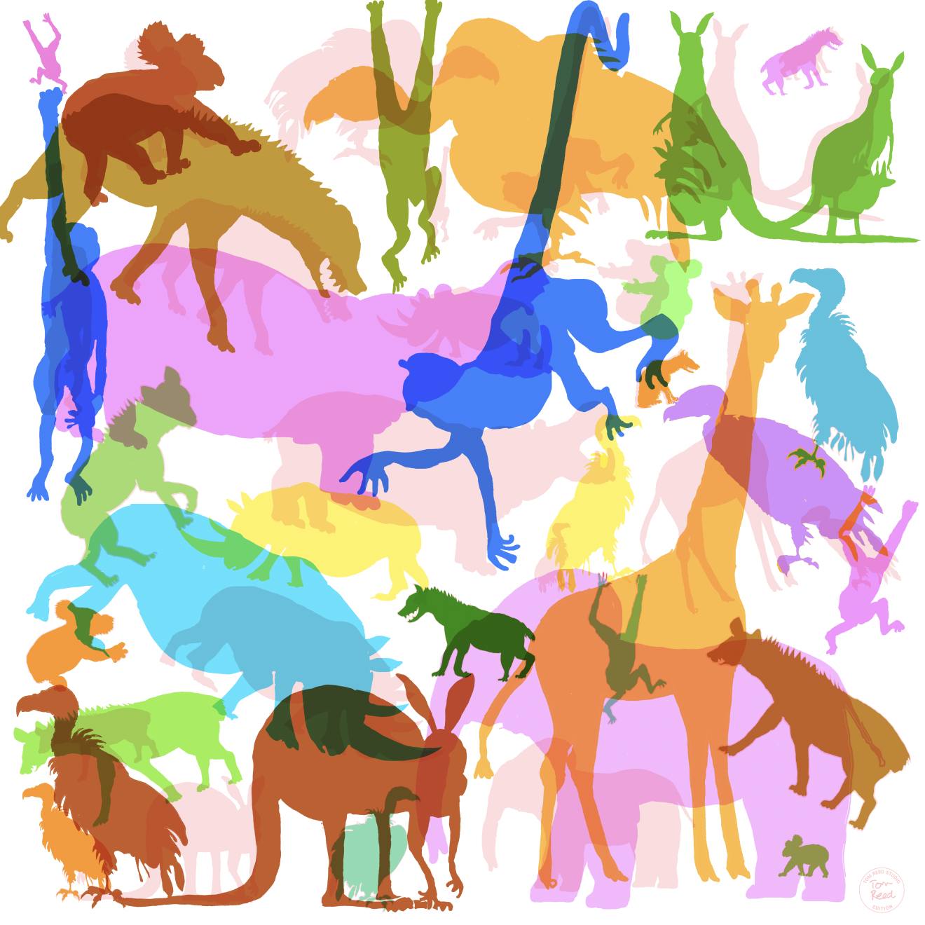 Screenshot 2026-02-06 at 19.37.38.png