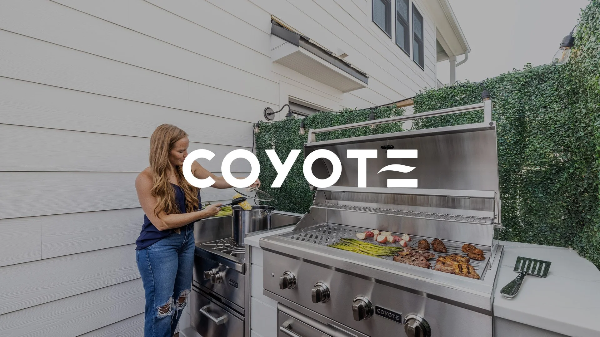 coyote.jpg