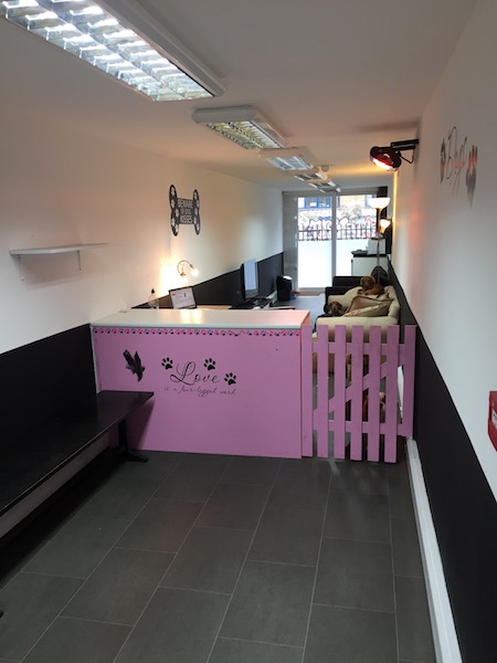 Canis headquarters
