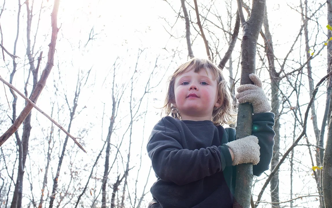 Wauhatchie_DOANTE_pic_TreeHug.jpg