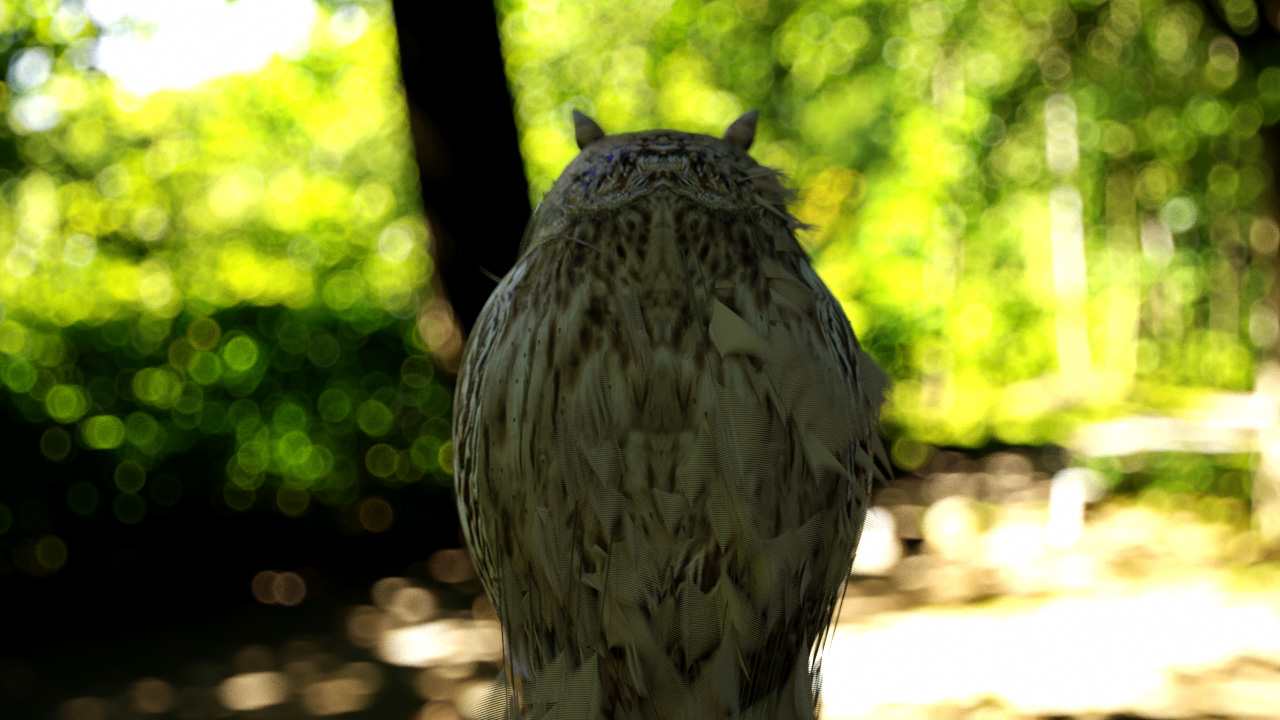 Owl3D.jpg