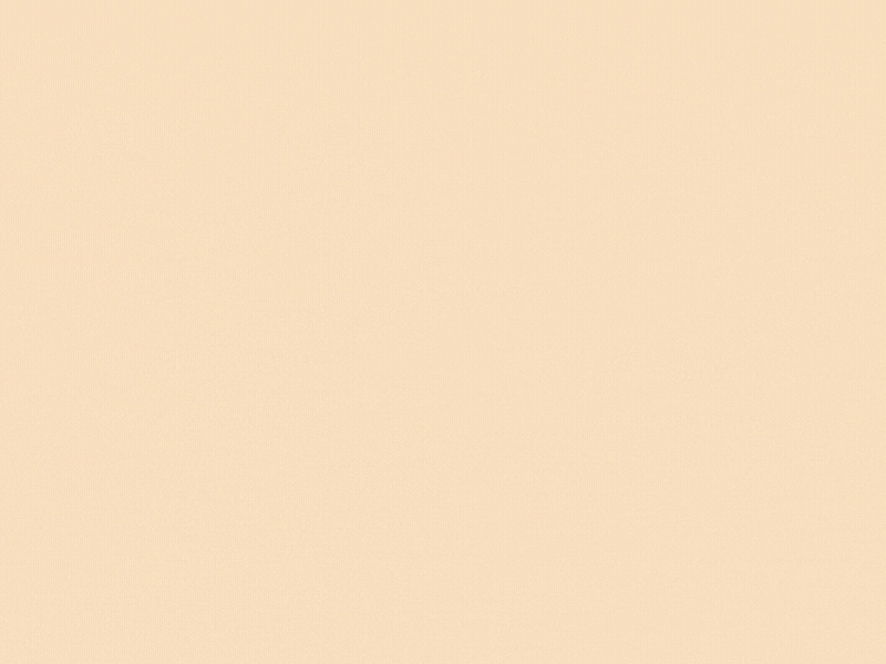 ezgif.com-optimize (4).gif