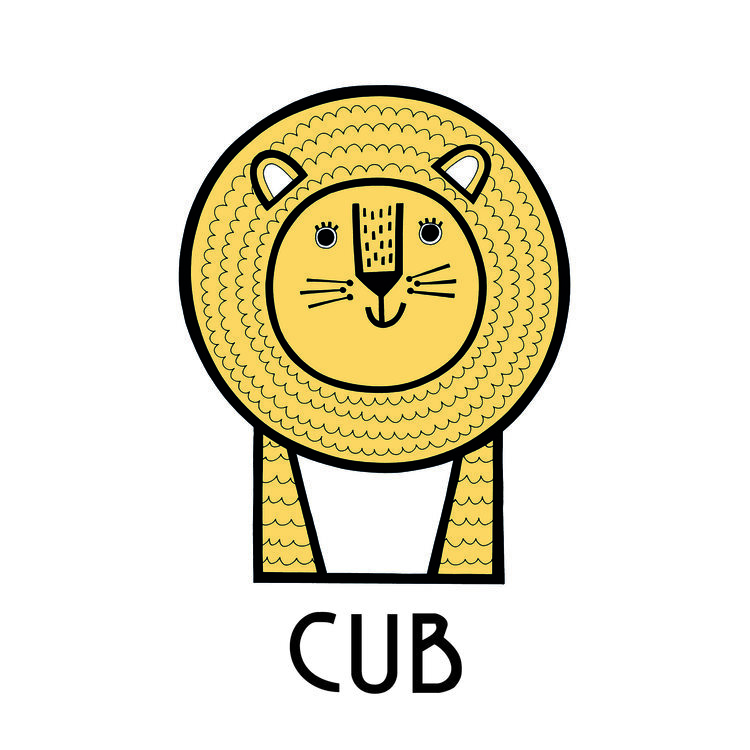 Cub copy.jpg