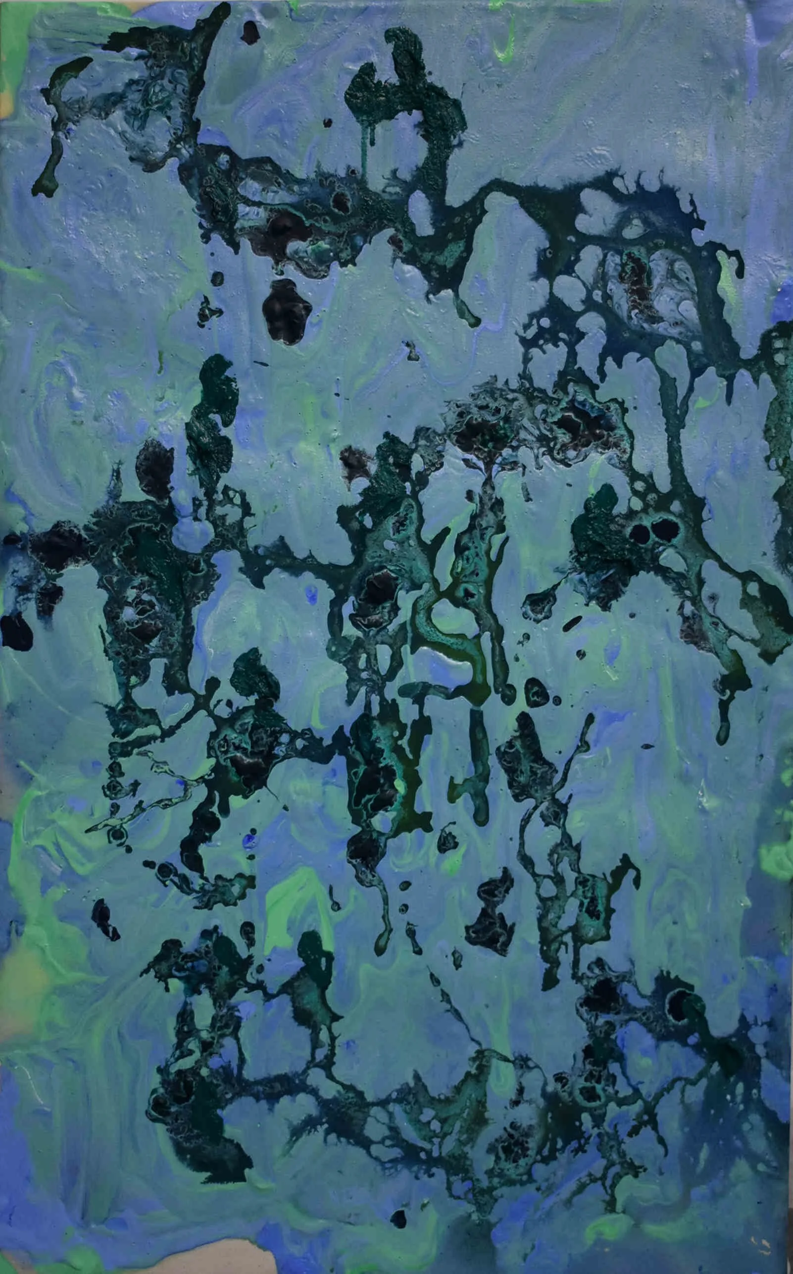 ' Seaweed Forcast ', 