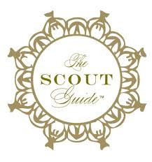 The+Scout+Guide.jpeg