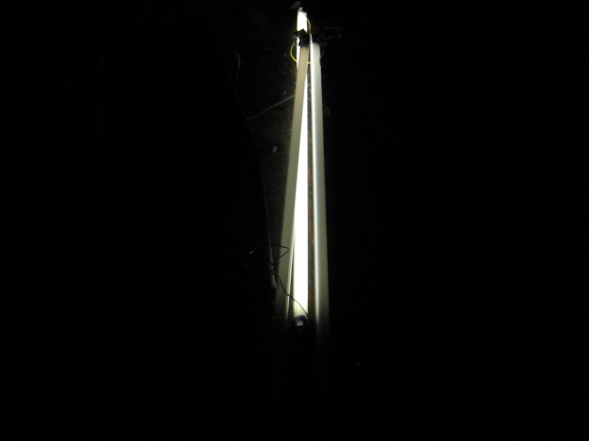 IMG_0006.JPG
