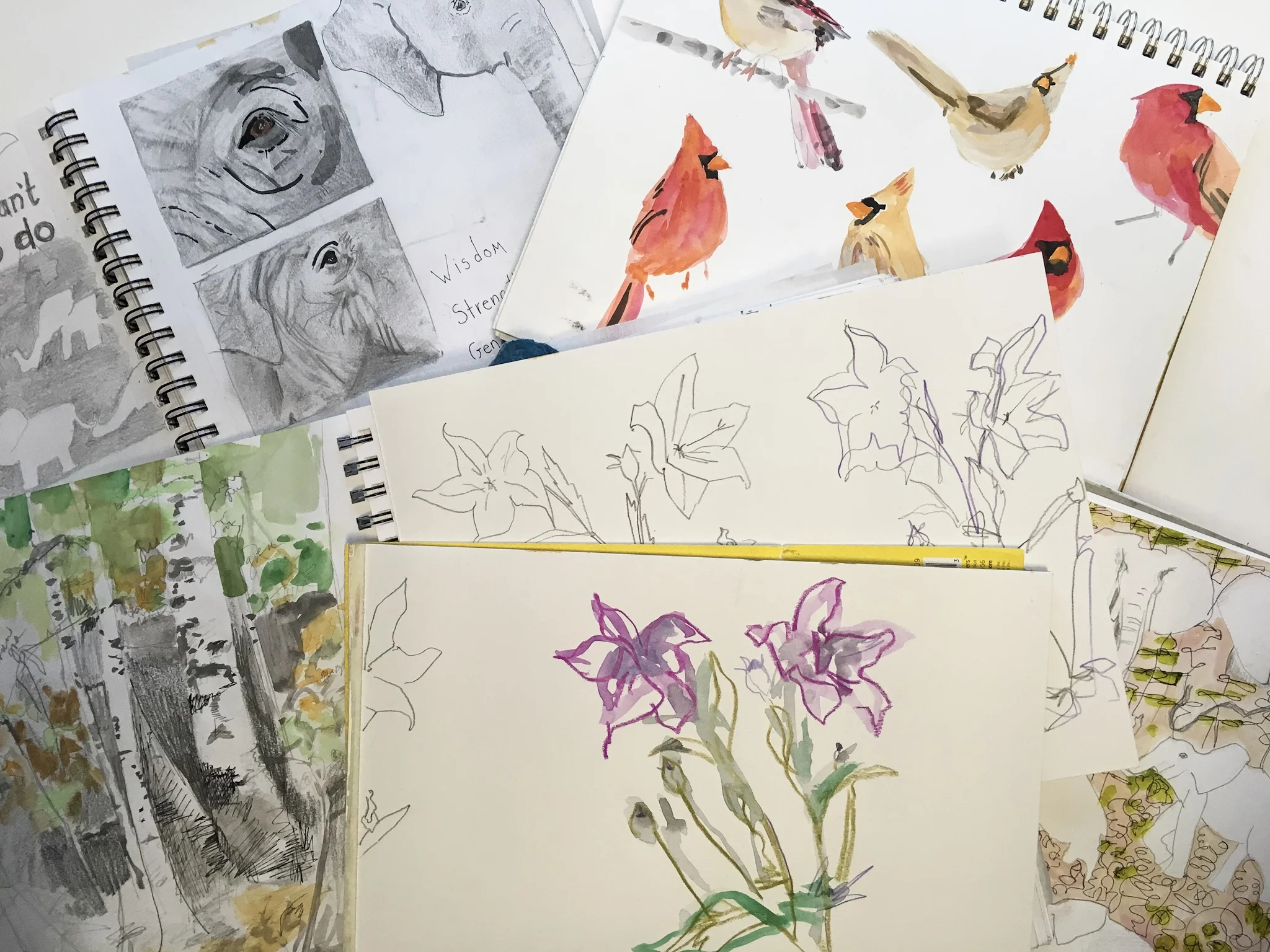 Patti_Cauldwell_WIAA_Sketchbook_Class.jpg