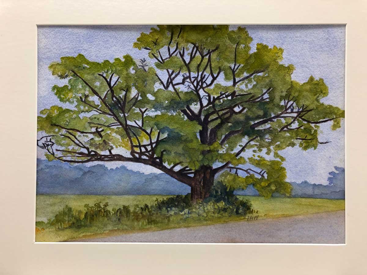 Pat Wright "Oak Tree"