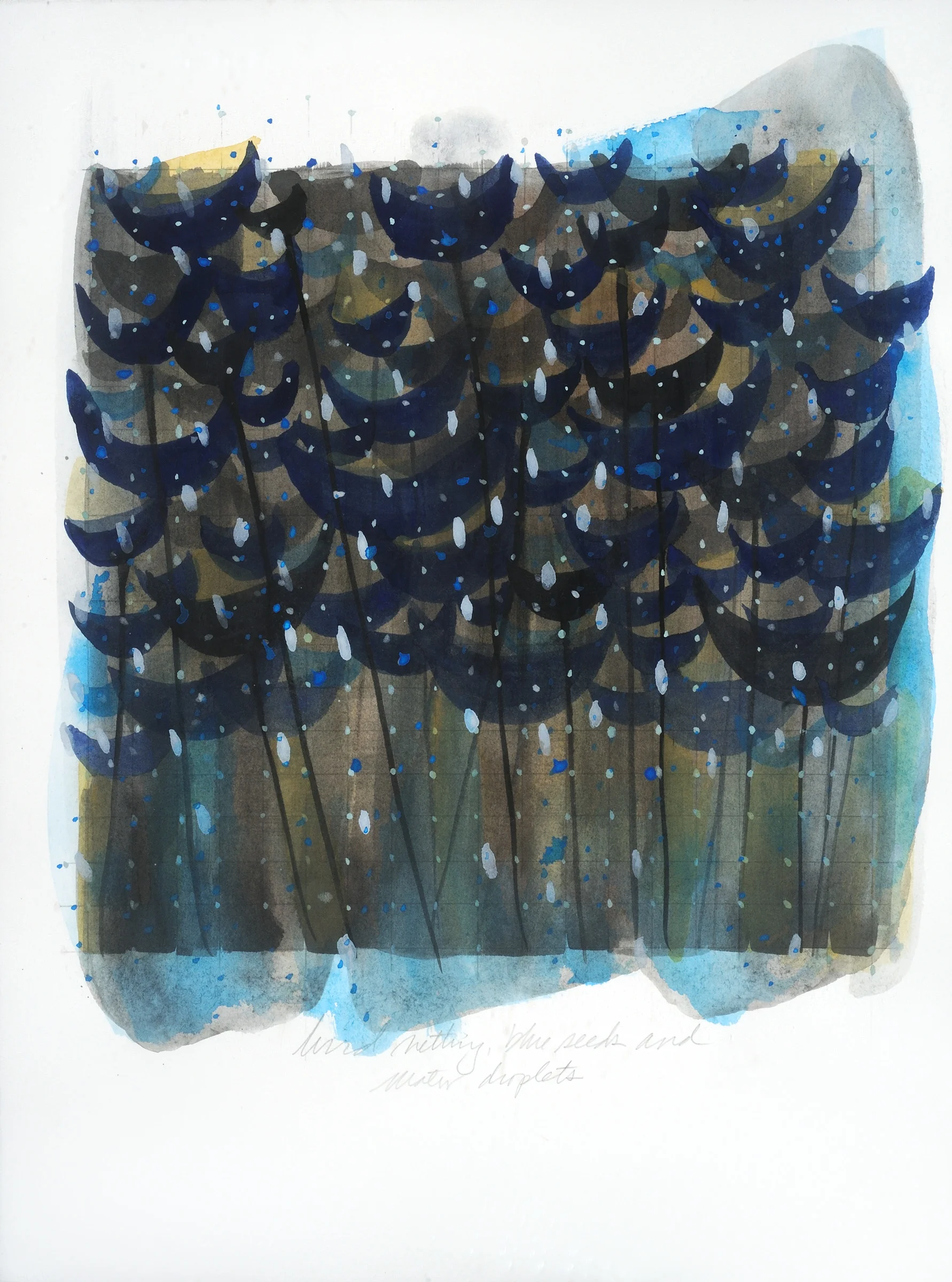 "Birdnetting, blue seeds and water droplets" 11X15, watercolor and graphite 2017 SOLD
