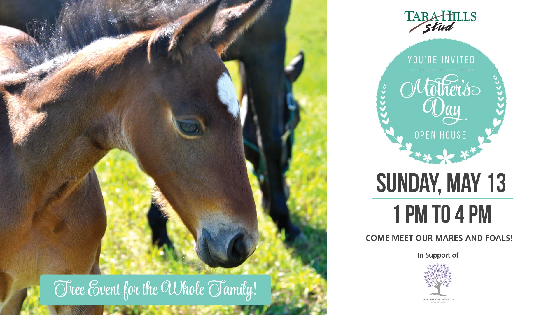 Tara Hills FB banner.jpg