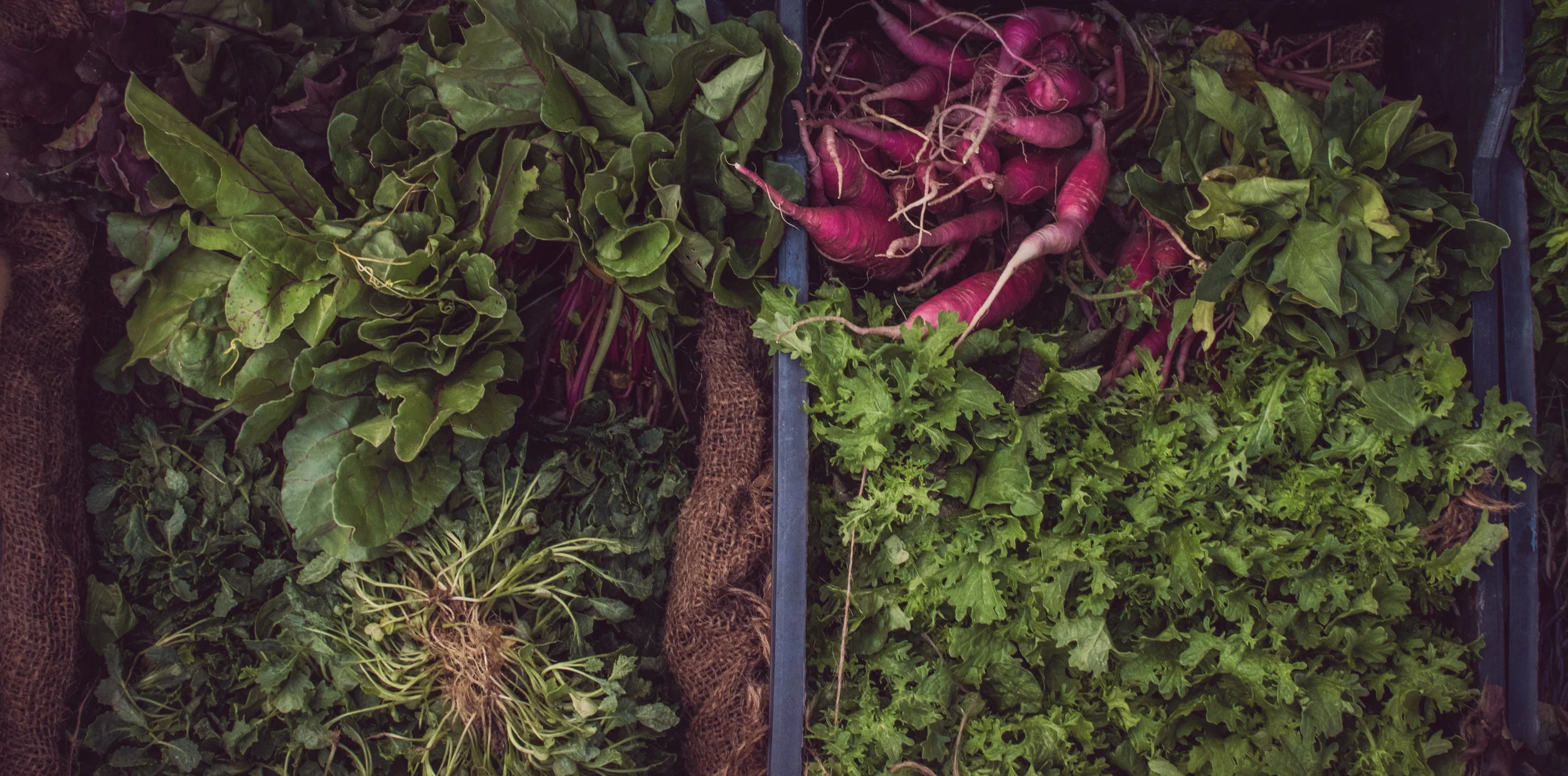 in09x8b04uk-peter-feghali copy.jpg