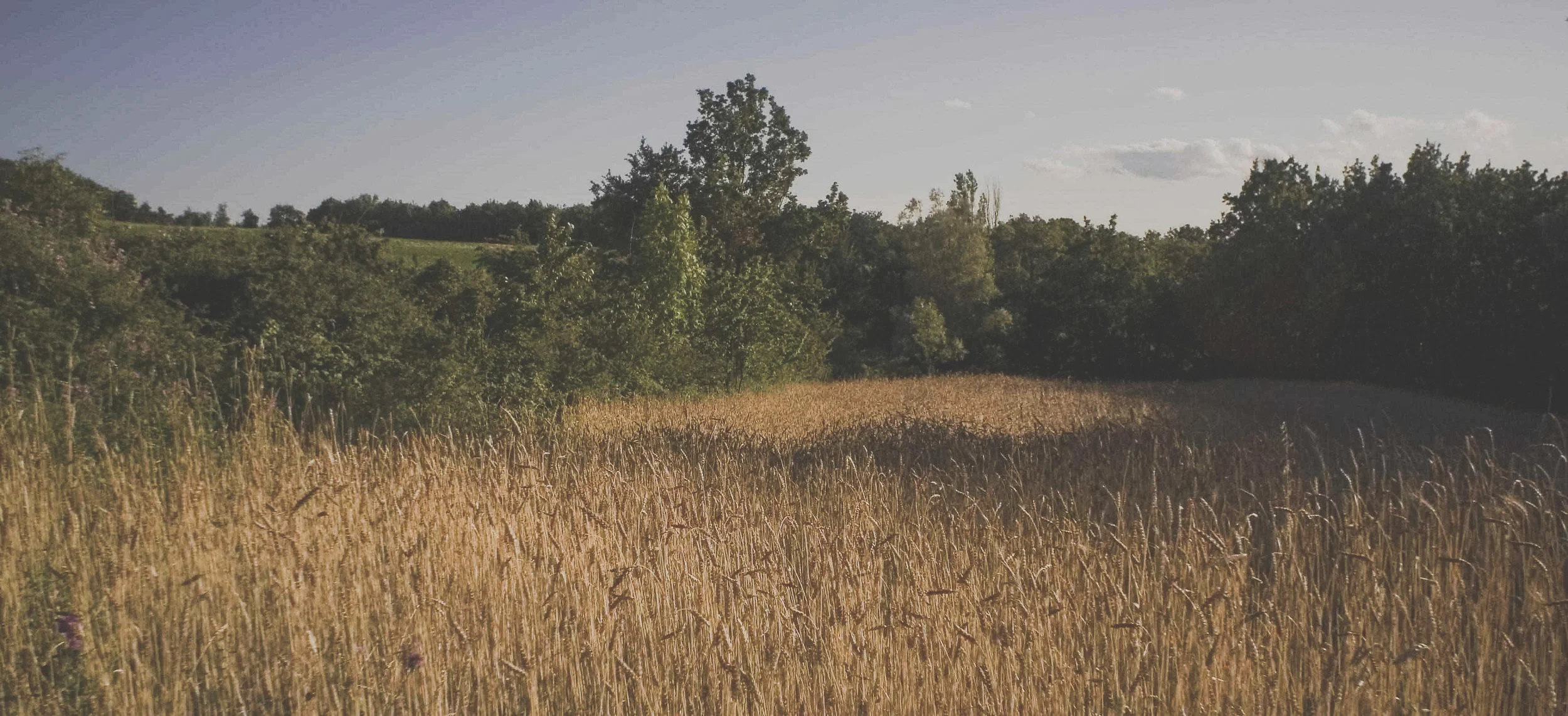Land and Deliver : Erasmus