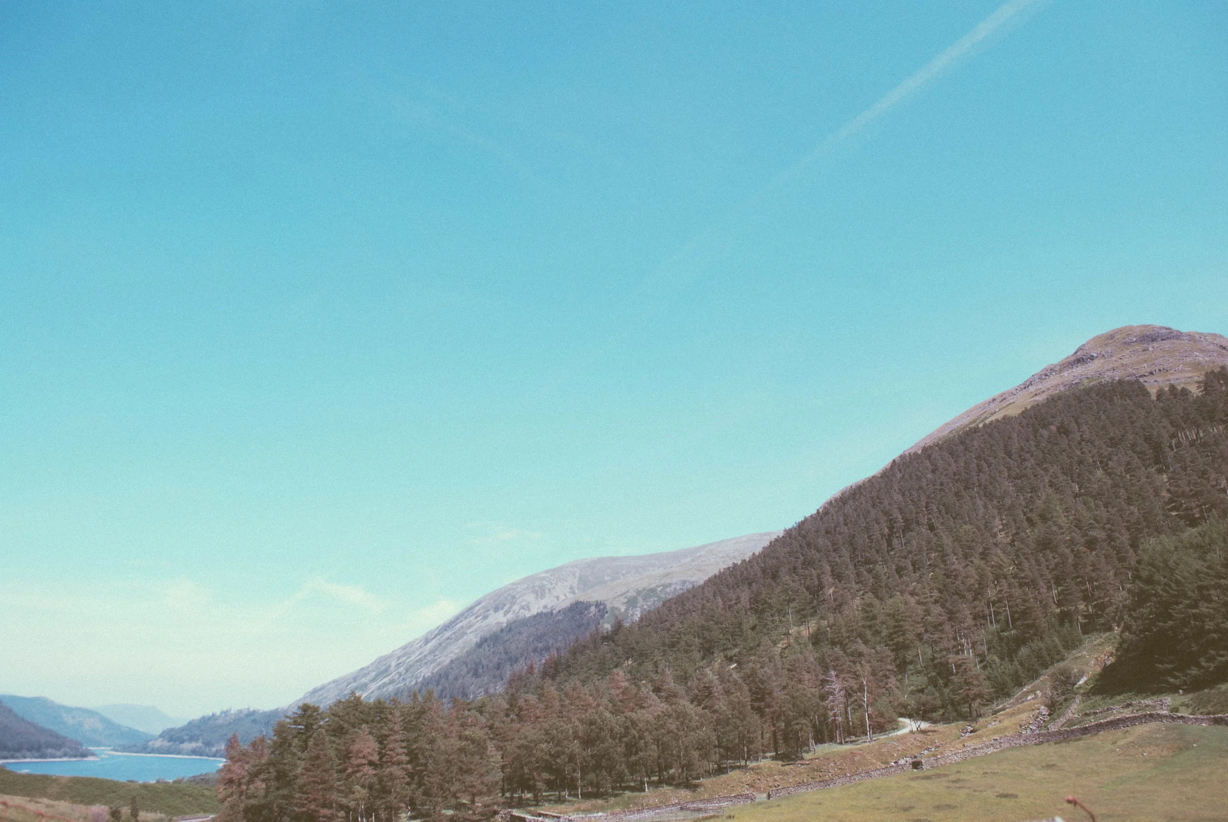 Forestry on a hillside by Thirlmere