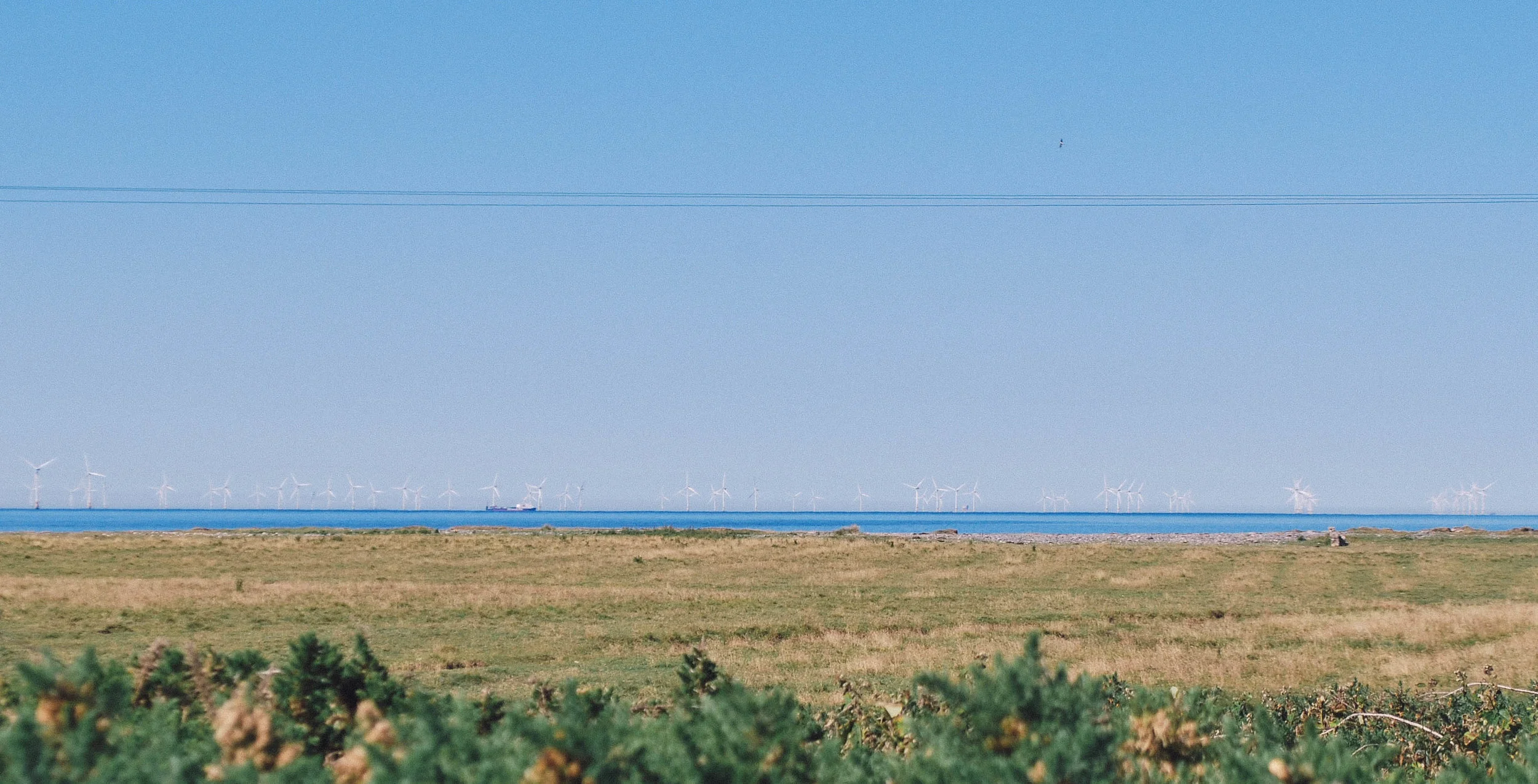 Near Morecambe Bay Oysters, a mass of wind turbines stretching out to beyond the coast of Walney Island. Apparently, it has boosted the local marine life, which has developed into an artificial reef.
