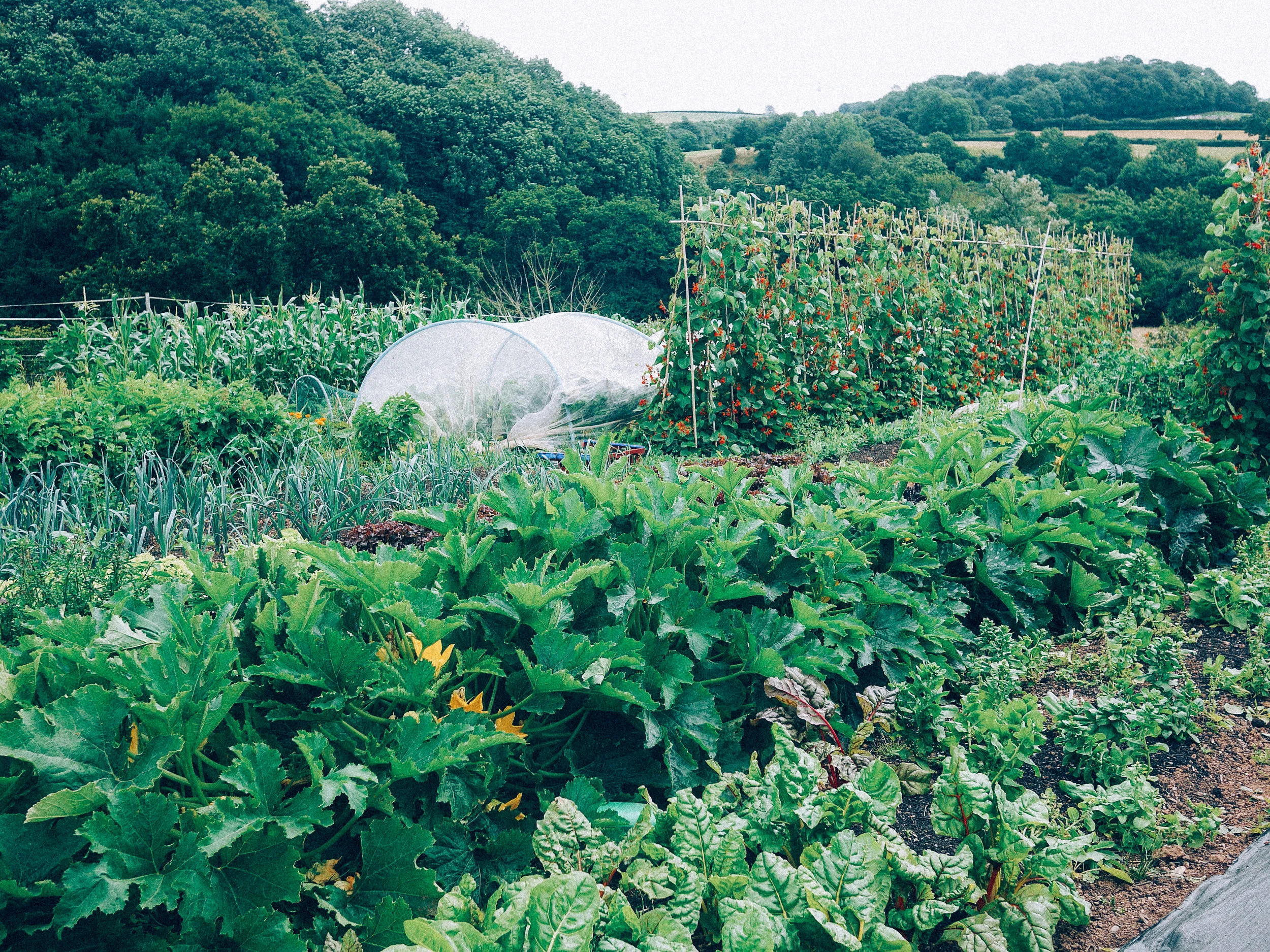 A-team-foundation-ecological-land-cooperative-elc-change-agroecology-smallscalefarming.JPG-3.jpg