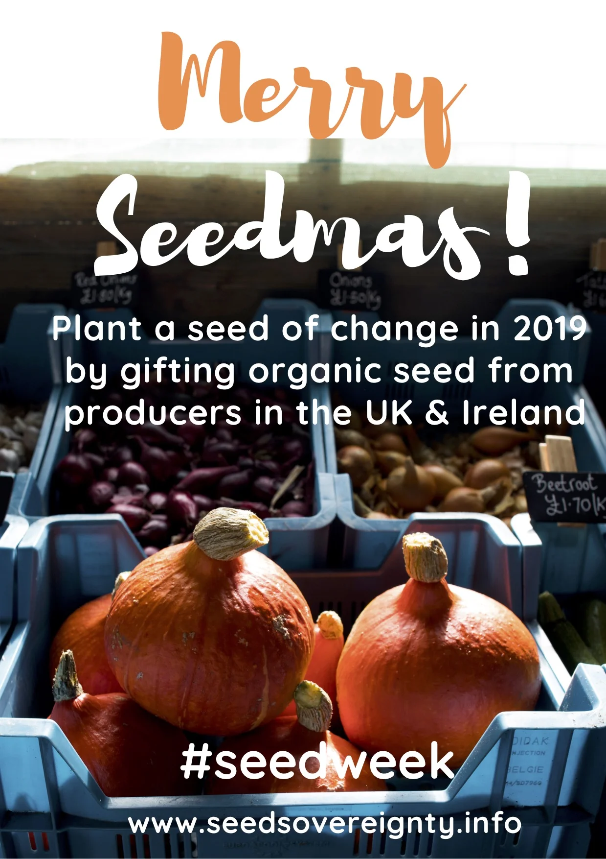 Merry Seedmas!.jpg