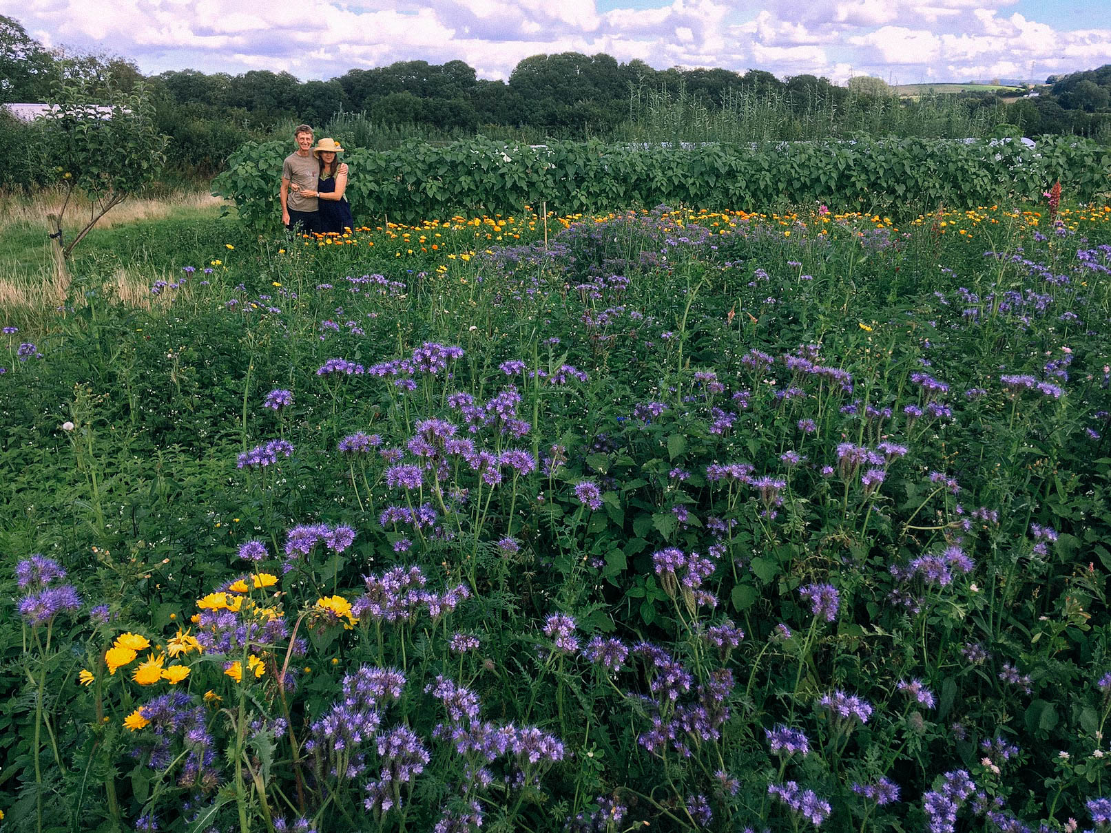 ELC tenants amongst the herbs.