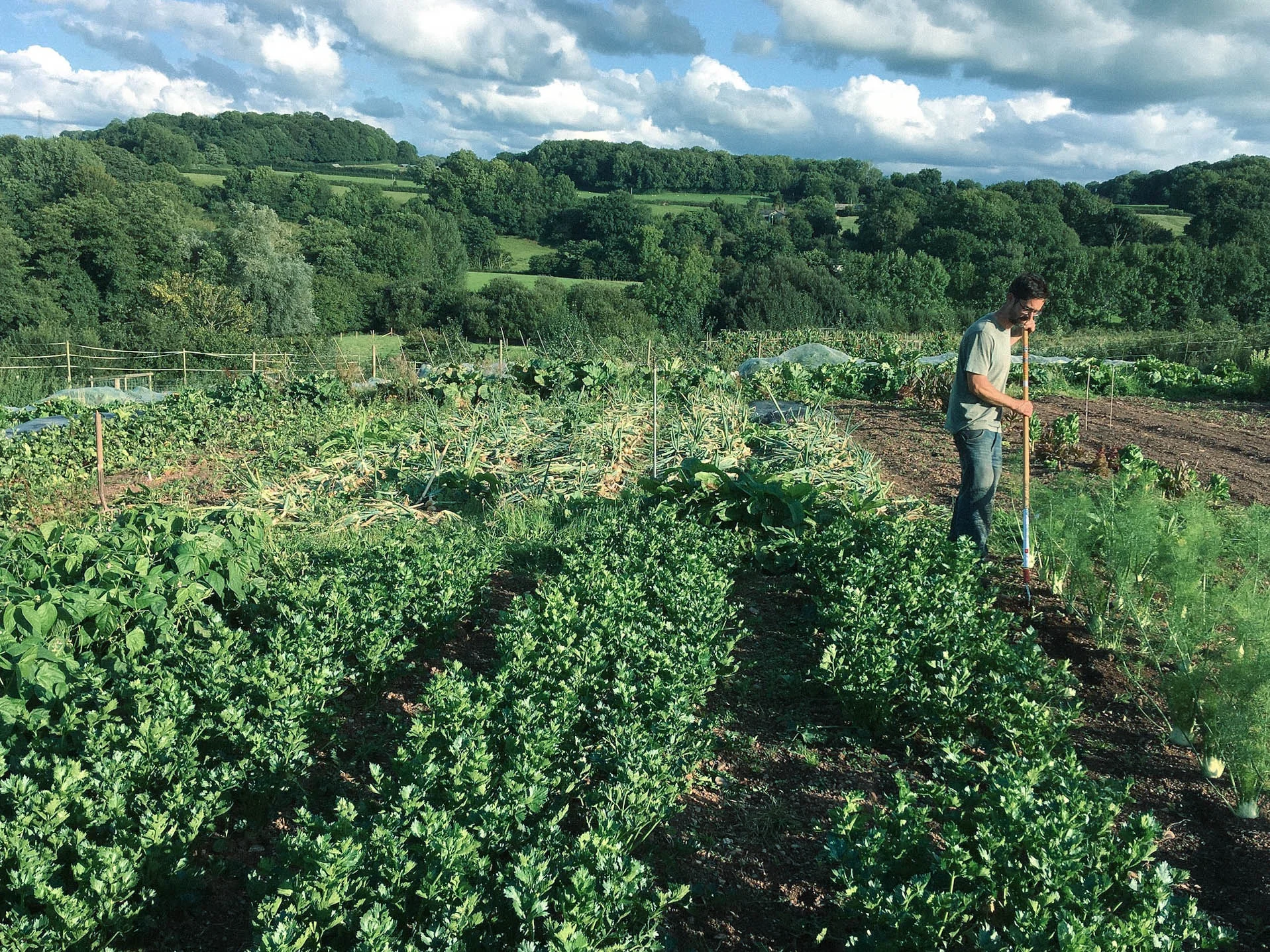 An ELC tenant in their market garden at Greenham Reach, Devon.