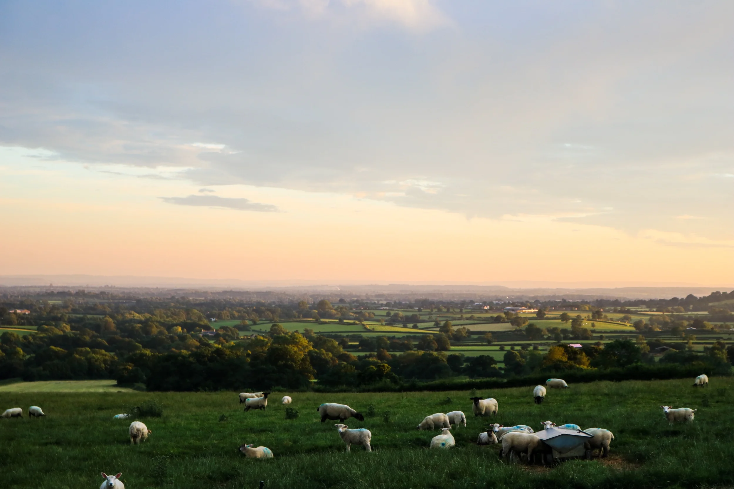 Climate and Biodiversity Crises: Recommendations for County Councillors