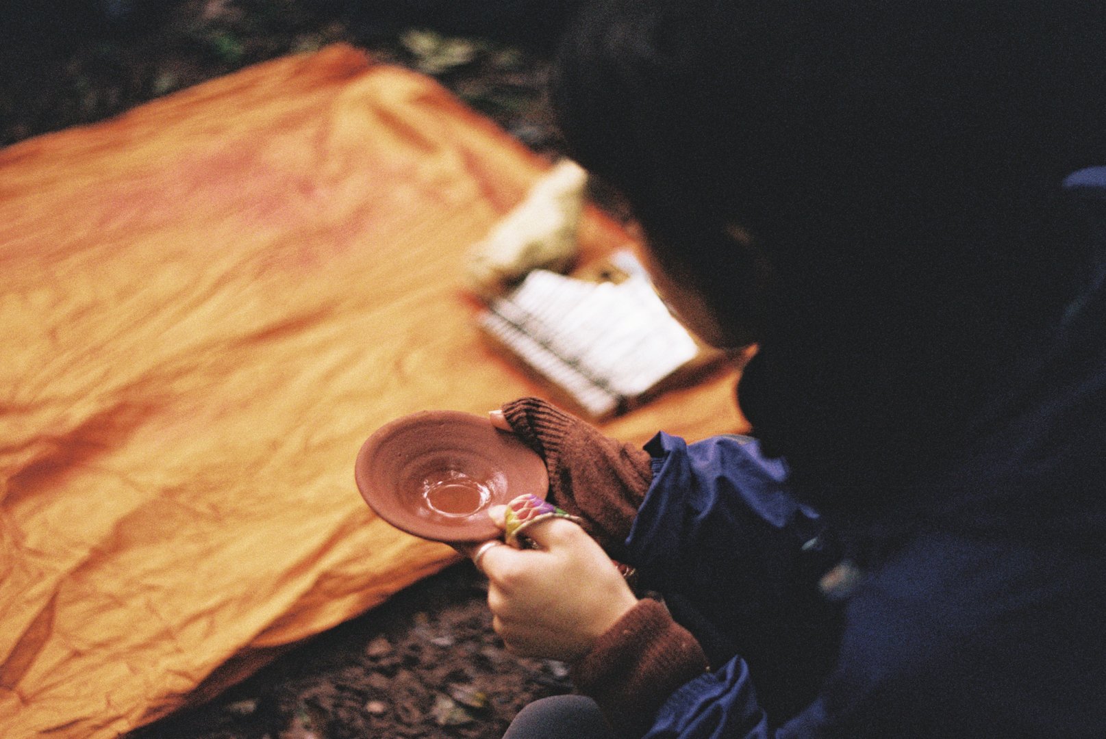 Reflections on The Journey of Gratitude