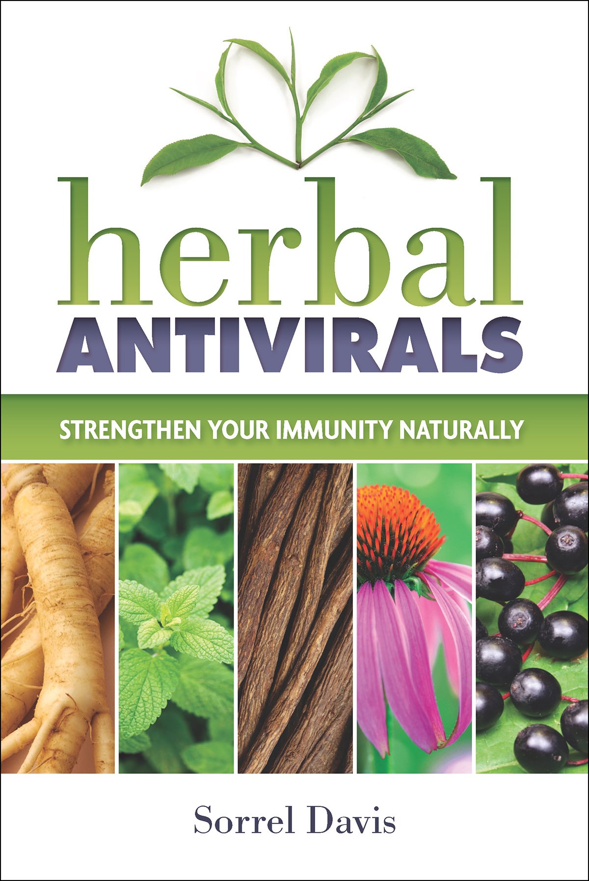 Herbal Antivirals_hi-res_web.jpg