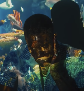 Sunni Colón - PROVIDE