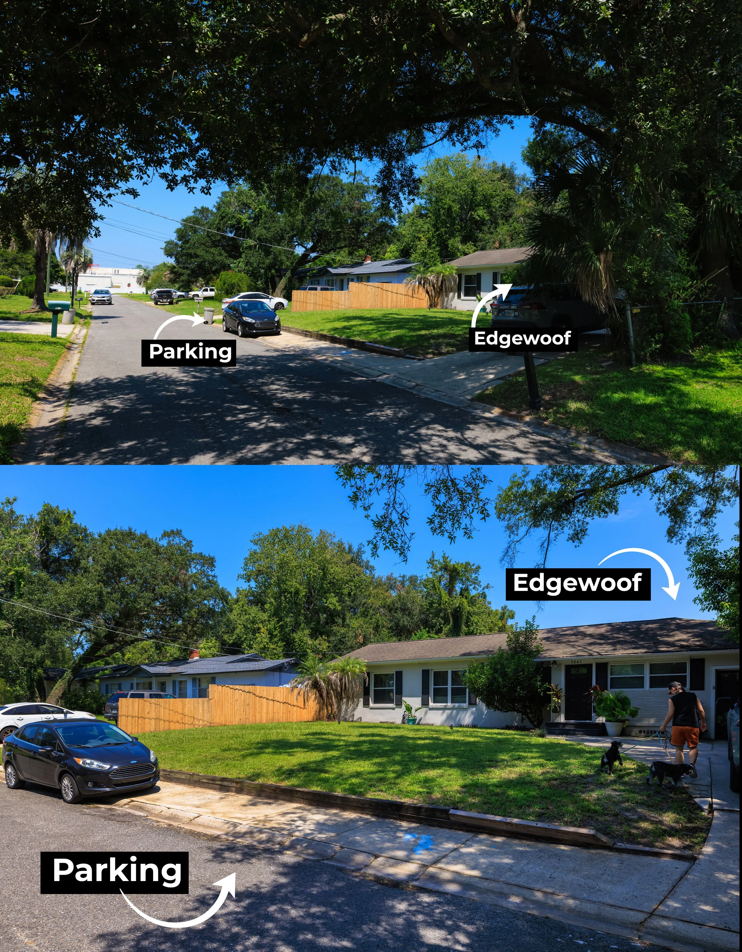 Edgewoof-23.jpg
