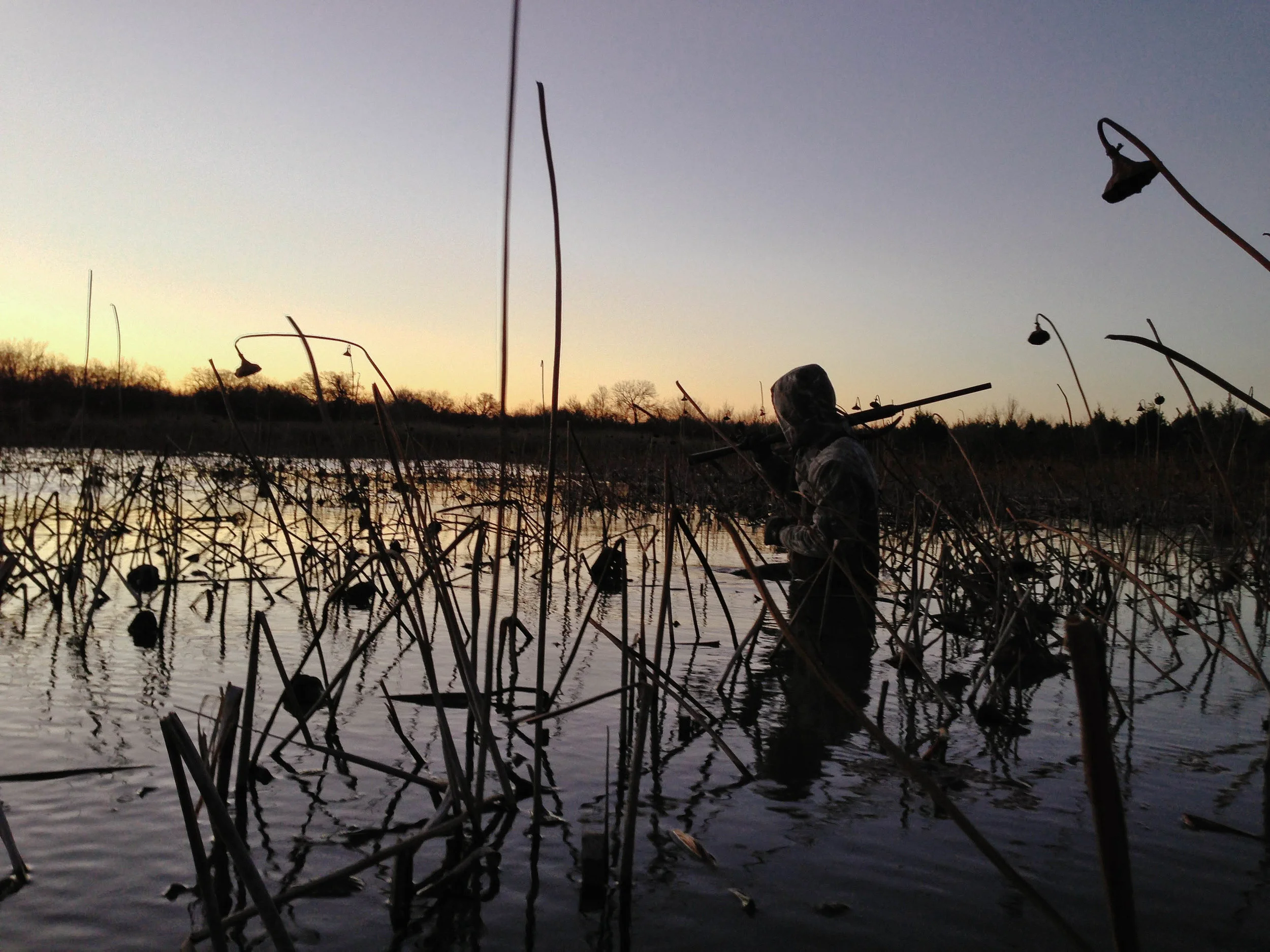 Duck Hunting in Texas