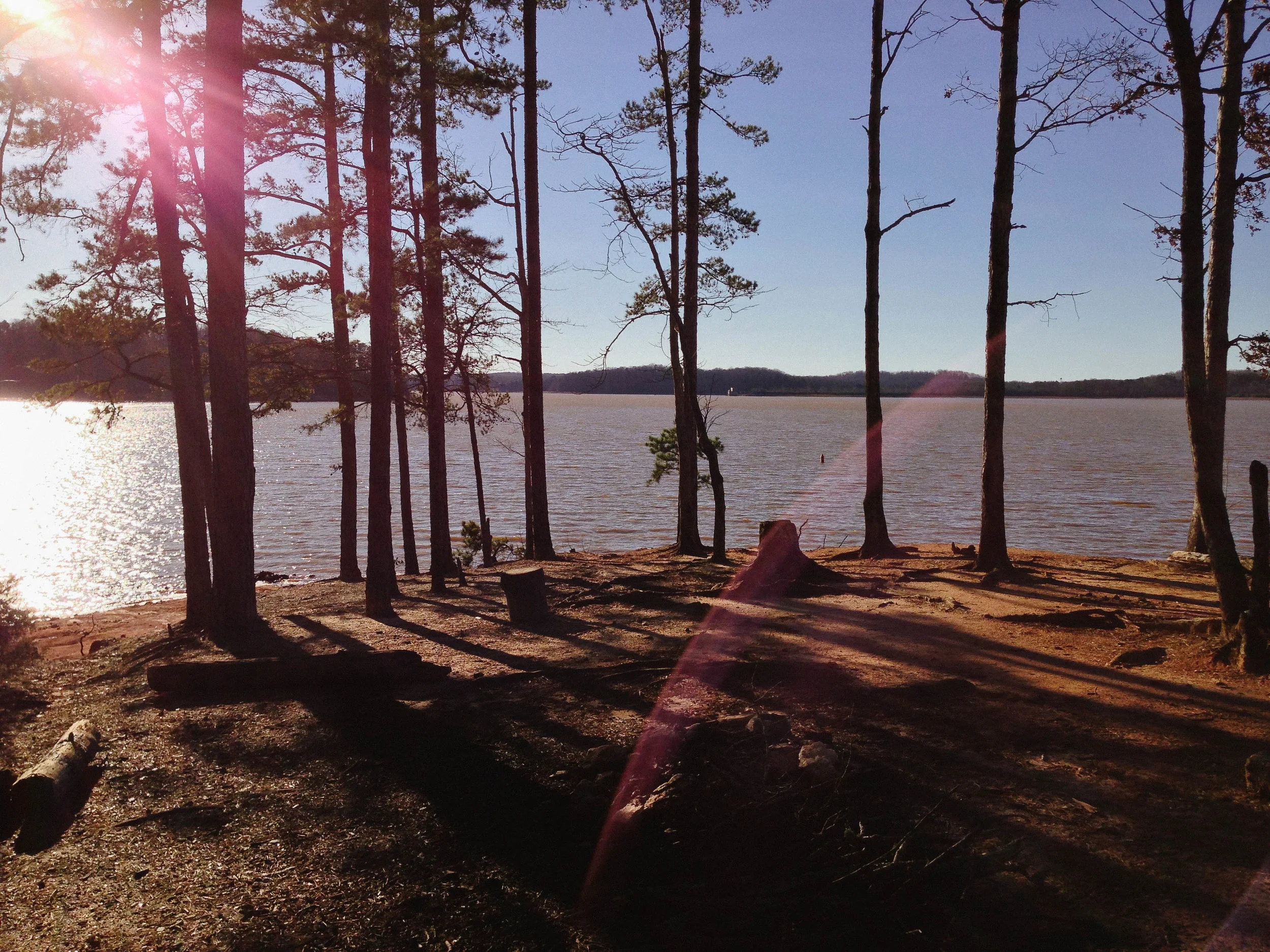 Picnic Spot in Clemson