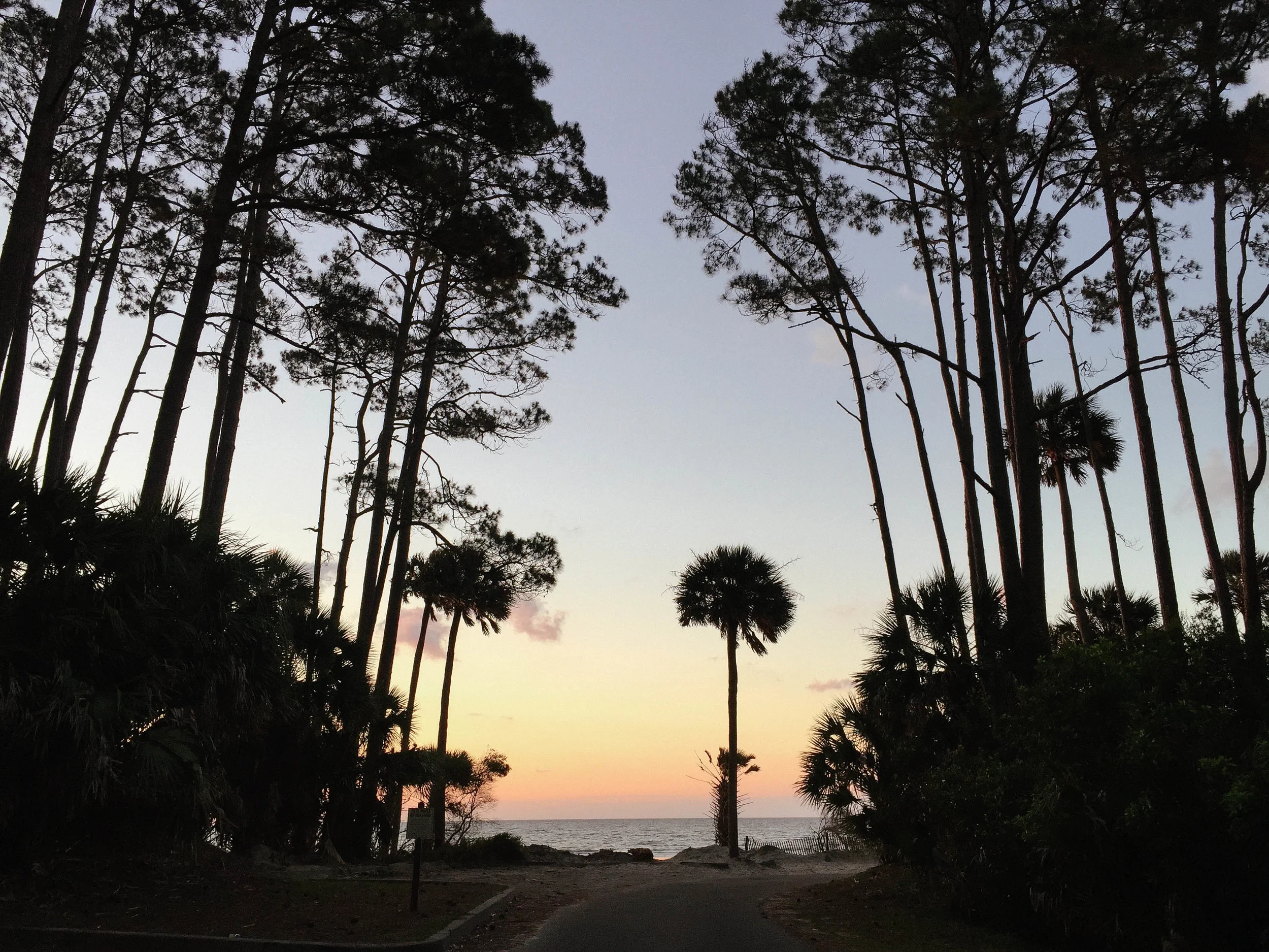 Hunting Island State Park, SC: Coastal Mornings