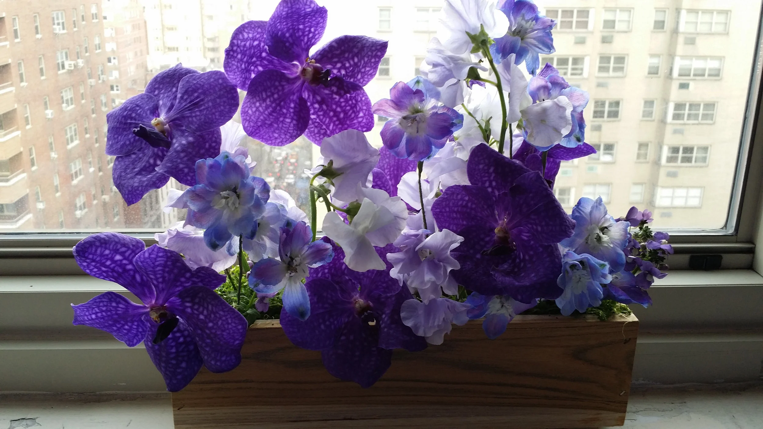Contemporary Window Box.jpg