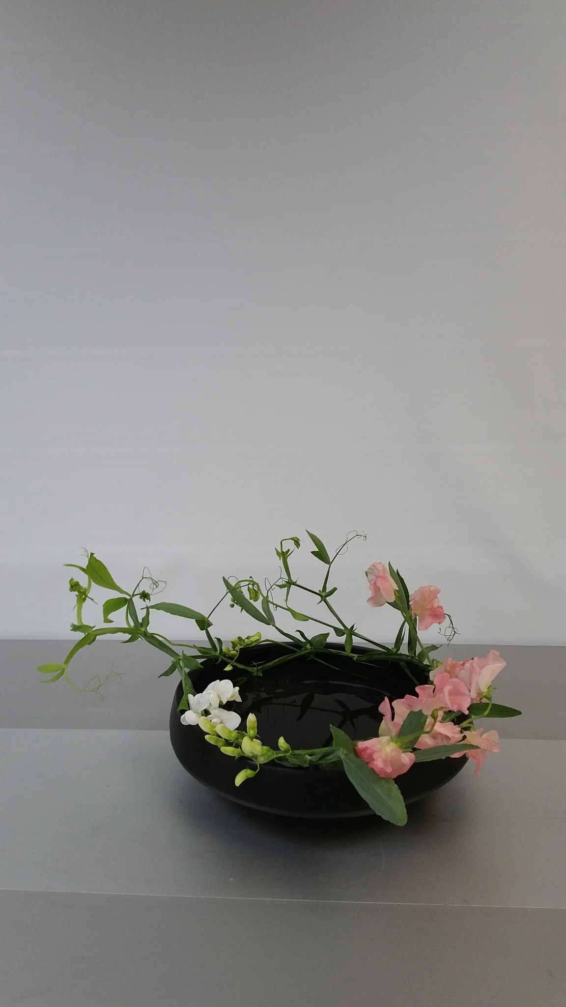 20180321_195357[43404].jpg