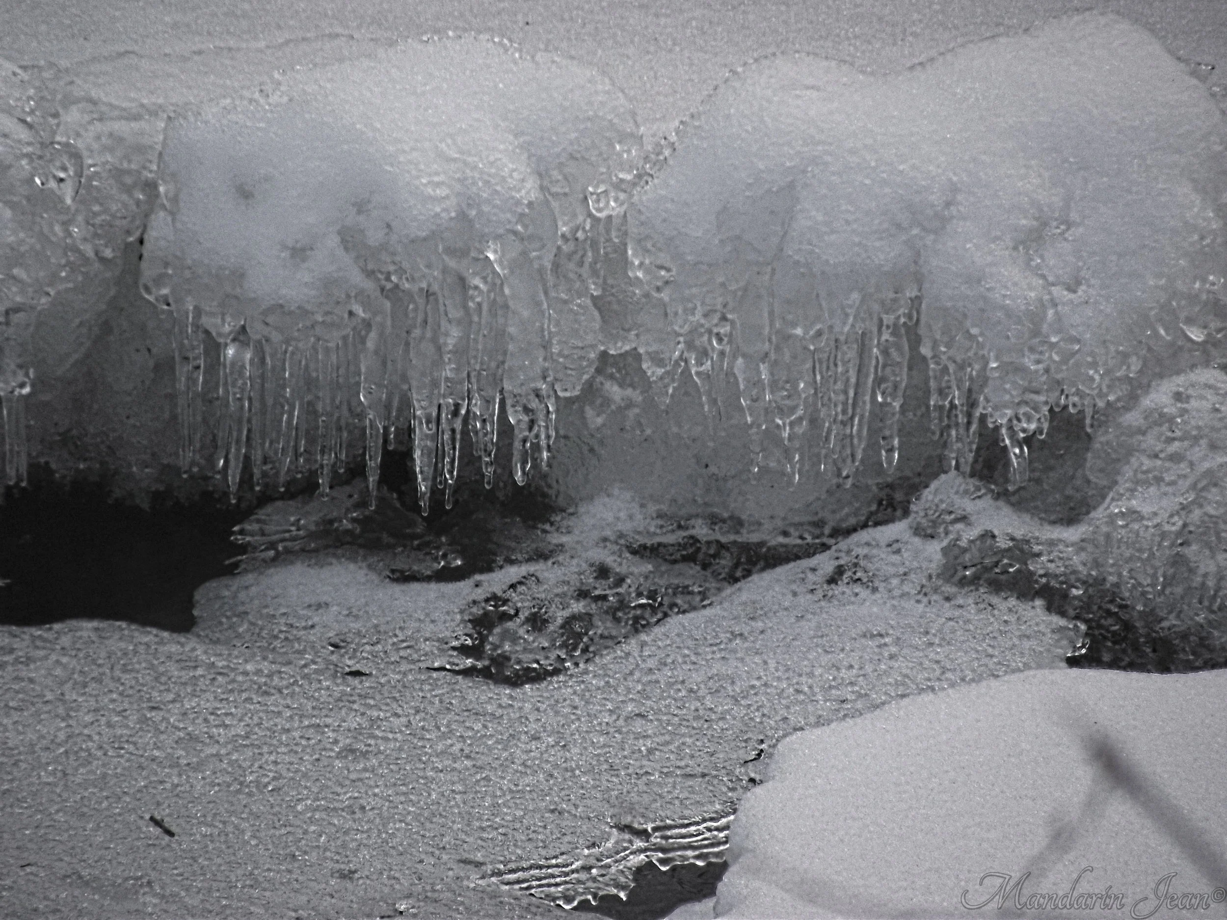 DSCF3640.jpg