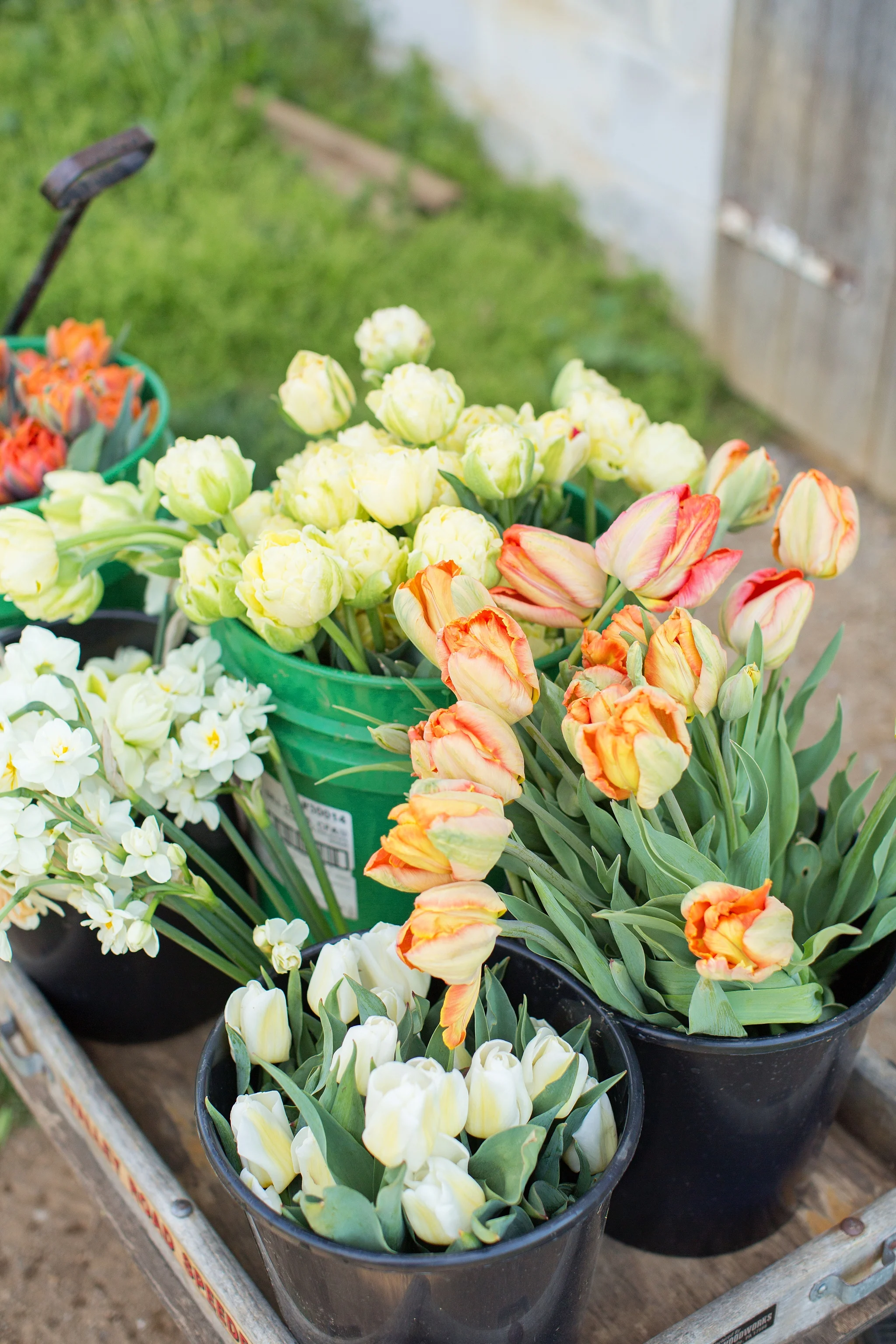 We gather the flowers for you and hand them off to you for your creative touch!