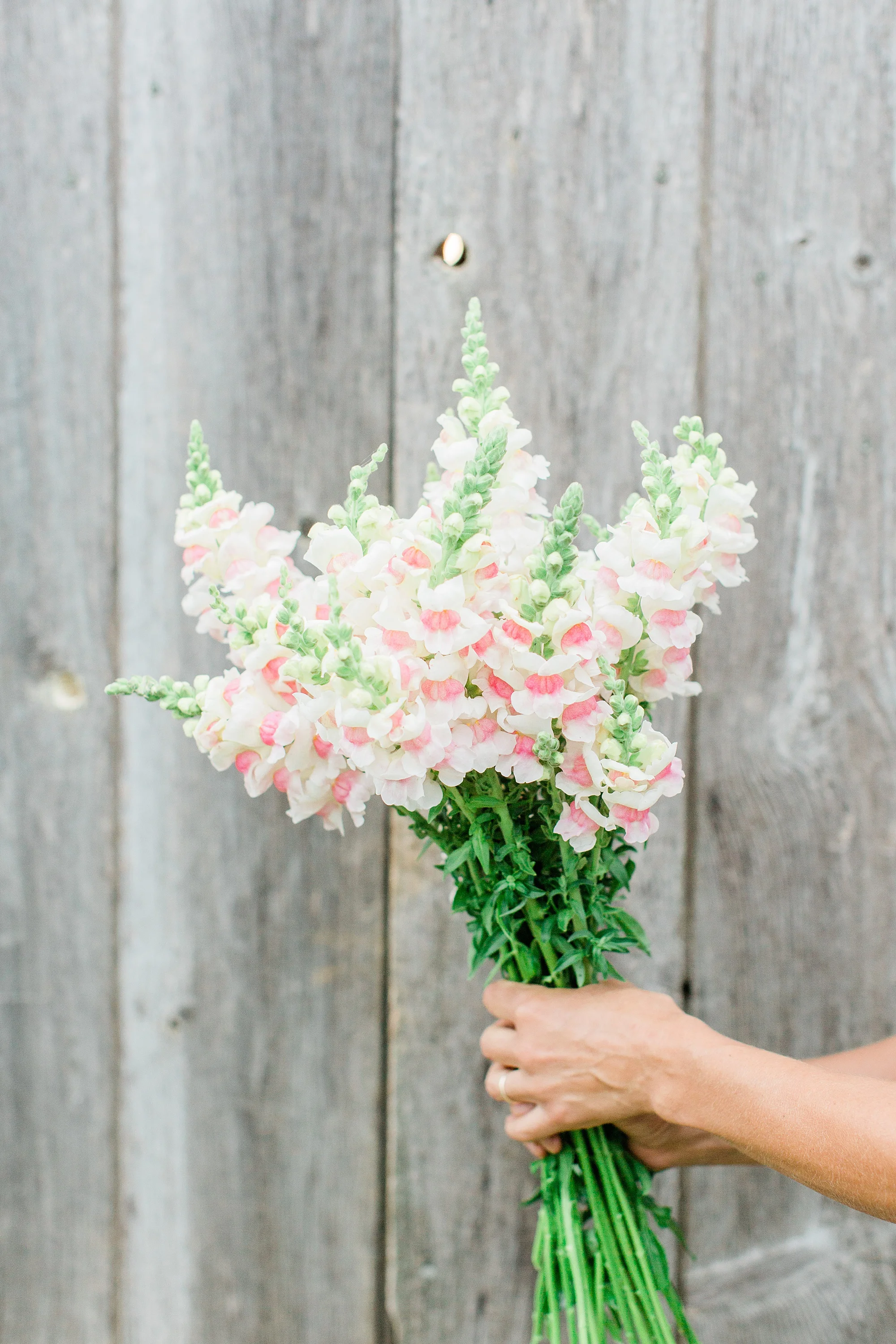 Locally Grown Flowers Flourish Flowers
