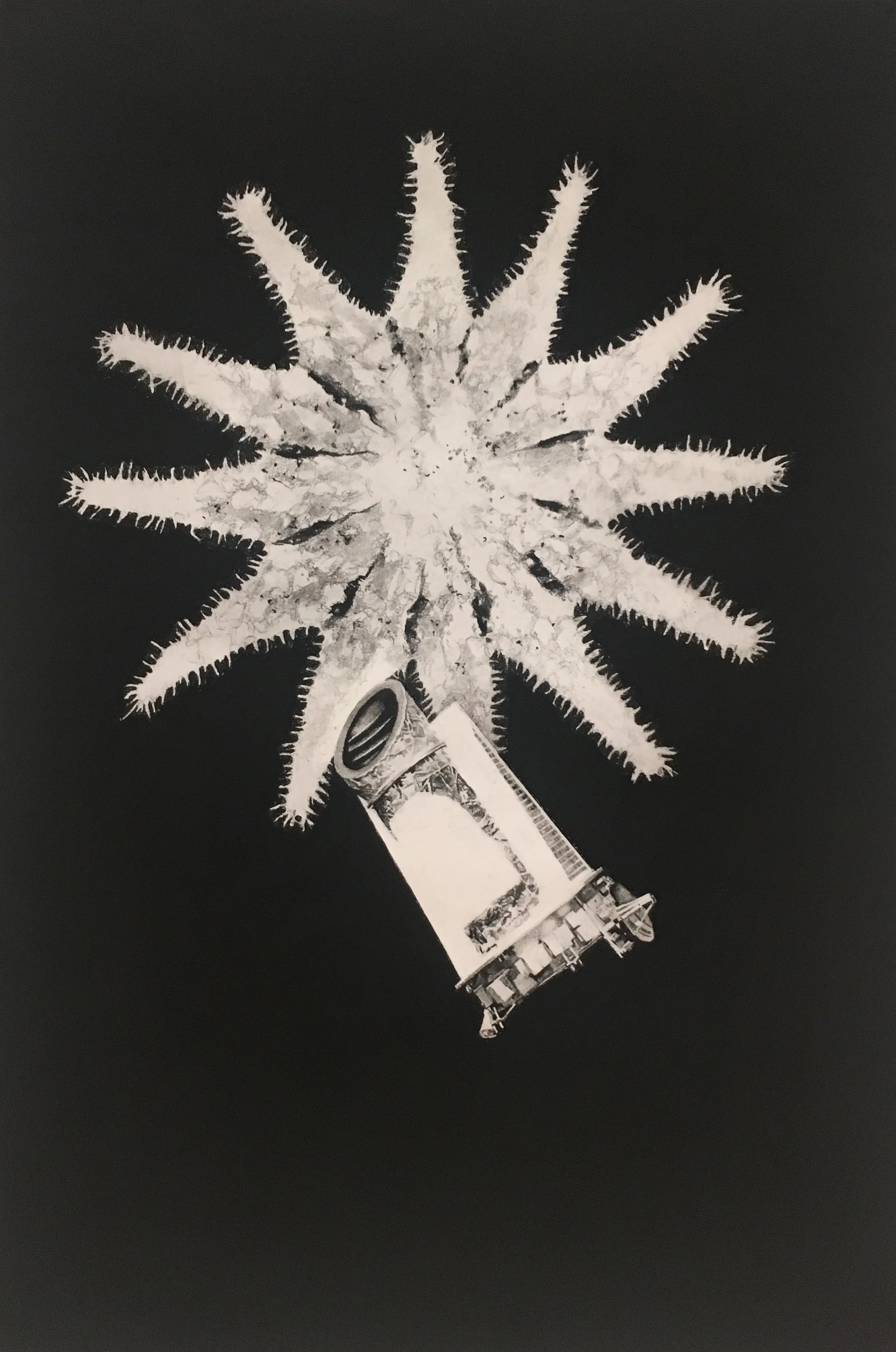 Kepler's Lament, 24"x36"