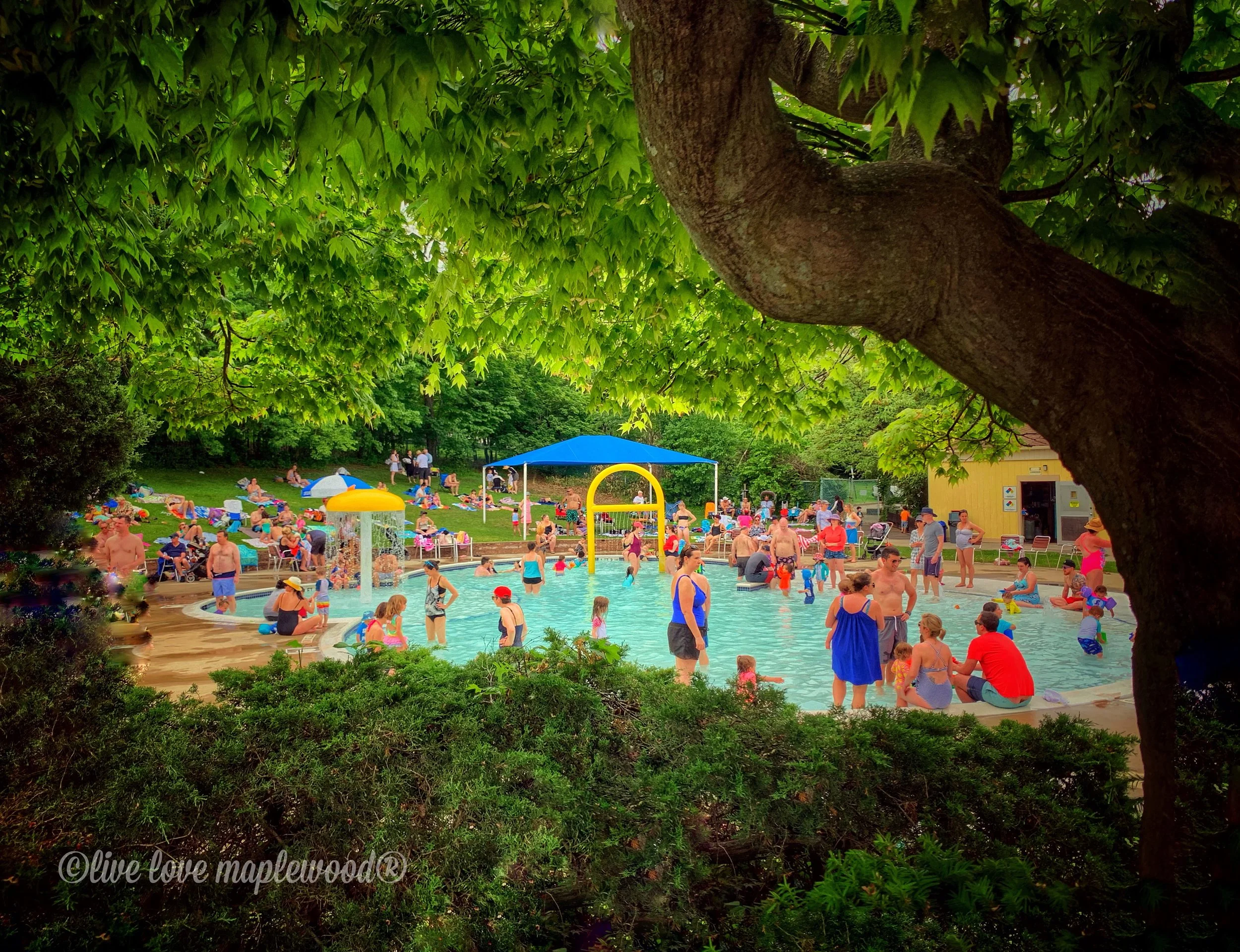 Summer is HERE! Memorial Day Weekend {Maplewood, NJ, South Orange, NJ, NJ Photographer}